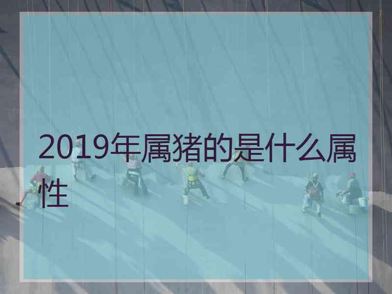 2019年属猪的是什么属性