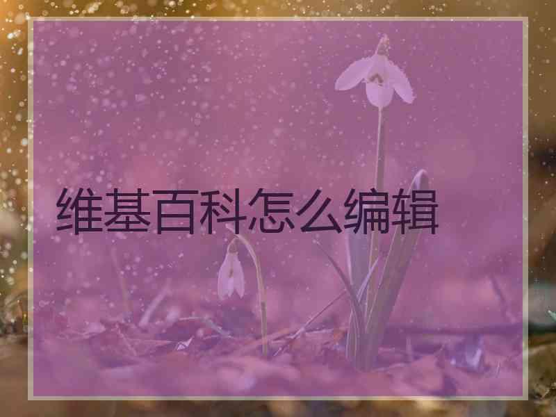 维基百科怎么编辑