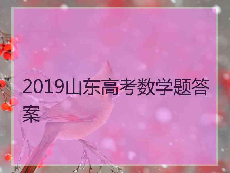 2019山东高考数学题答案