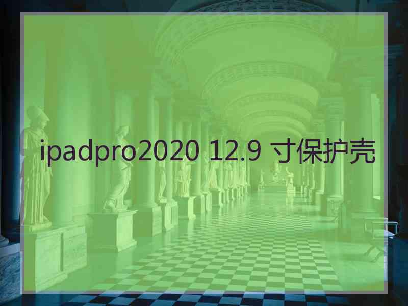 ipadpro2020 12.9 寸保护壳