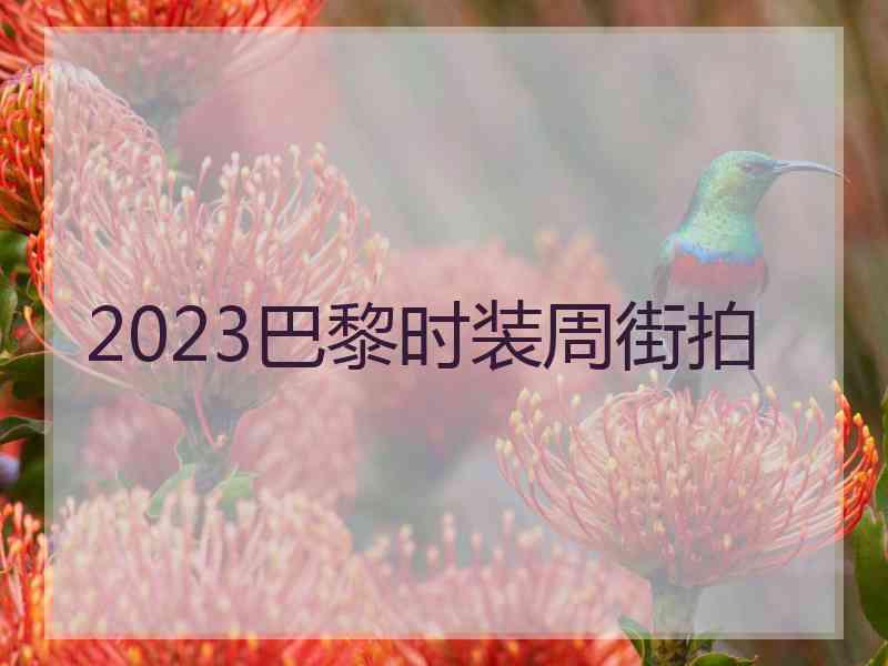 2023巴黎时装周街拍