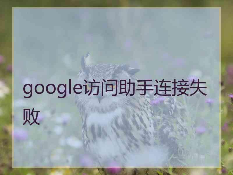 google访问助手连接失败