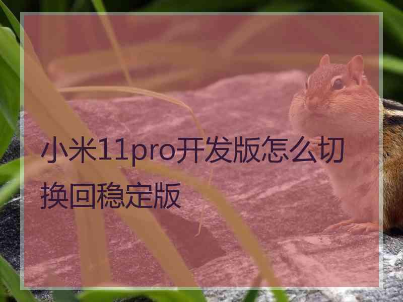 小米11pro开发版怎么切换回稳定版