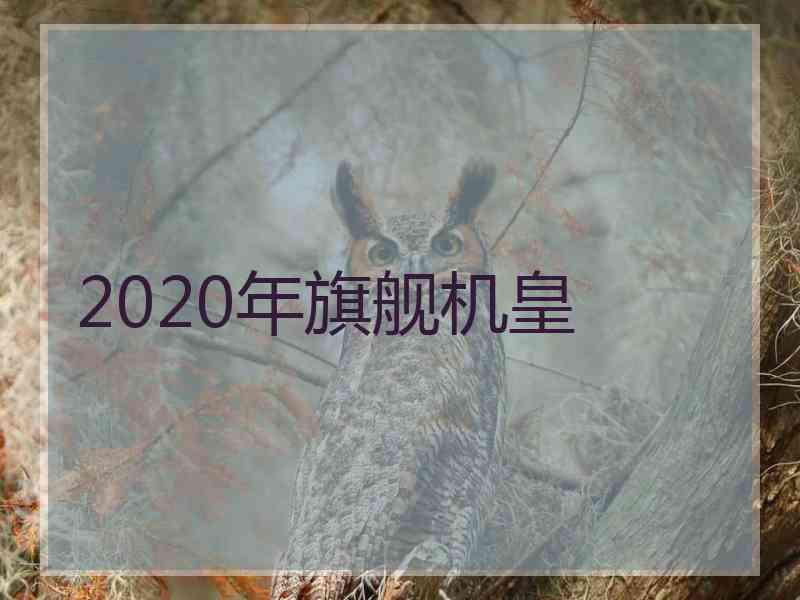 2020年旗舰机皇