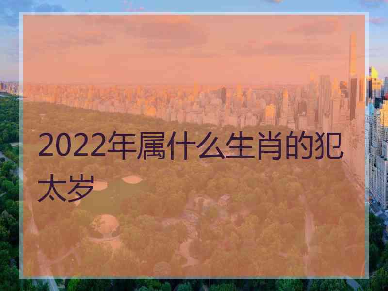 2022年属什么生肖的犯太岁