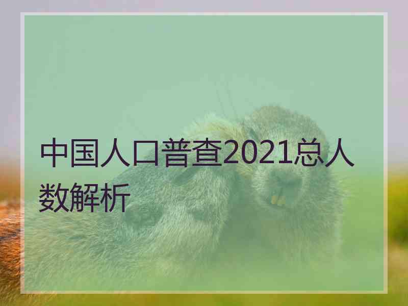 中国人口普查2021总人数解析