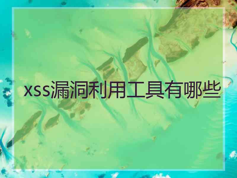 xss漏洞利用工具有哪些