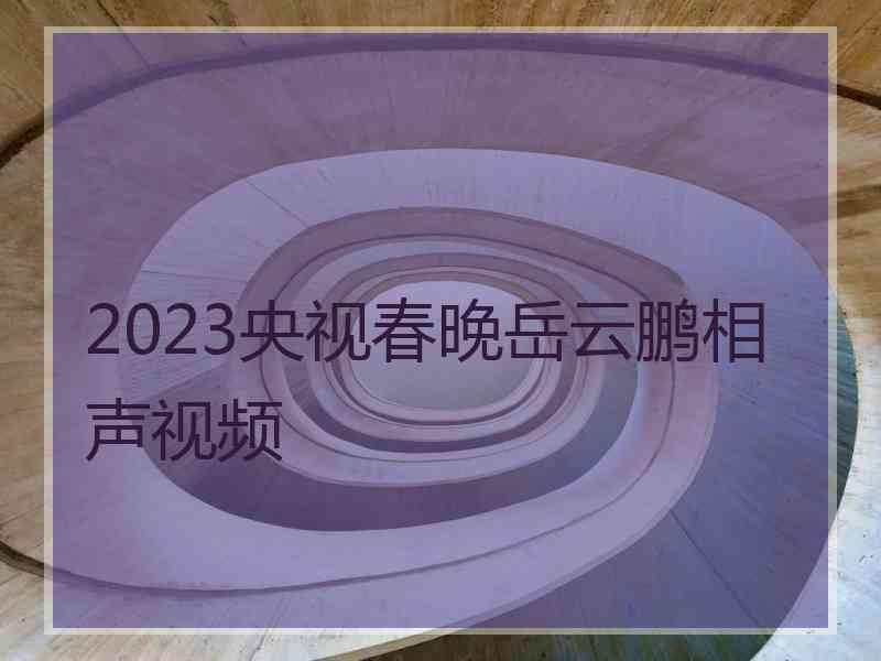 2023央视春晚岳云鹏相声视频