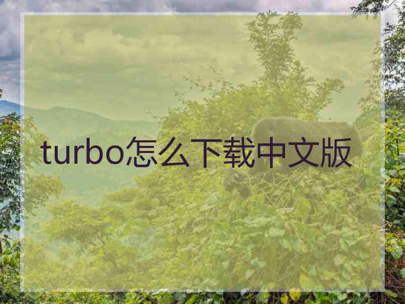 turbo怎么下载中文版