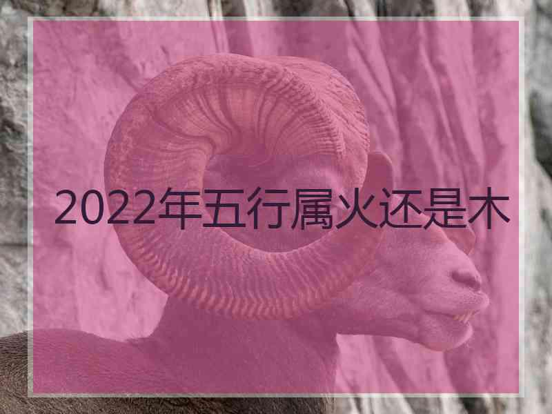 2022年五行属火还是木