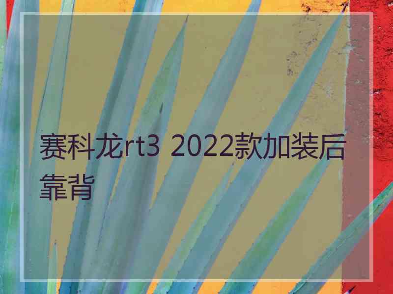 赛科龙rt3 2022款加装后靠背