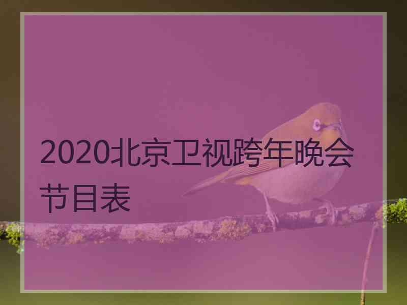 2020北京卫视跨年晚会节目表