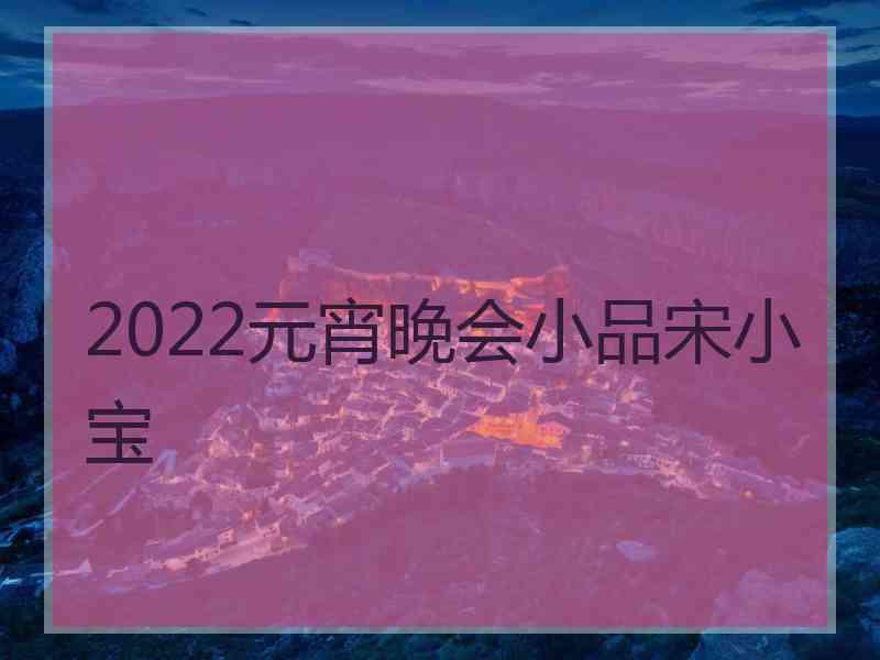 2022元宵晚会小品宋小宝