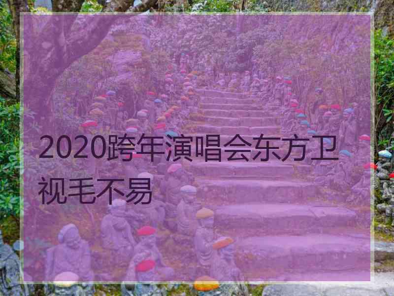 2020跨年演唱会东方卫视毛不易