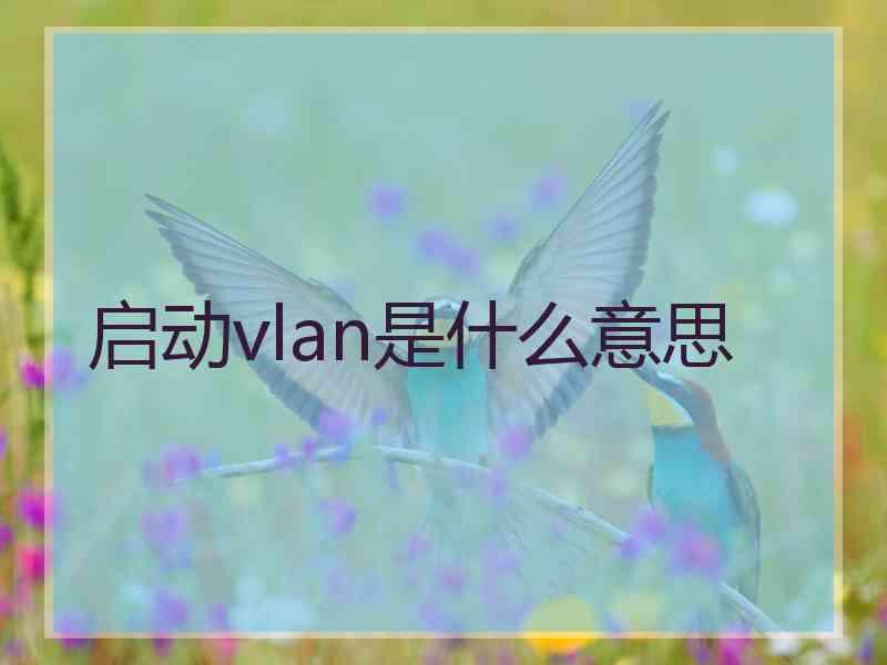 启动vlan是什么意思