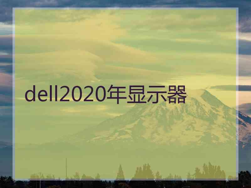 dell2020年显示器