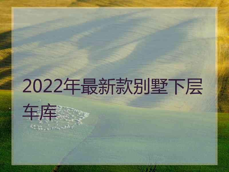 2022年最新款别墅下层车库