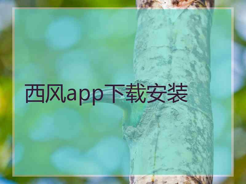 西风app下载安装