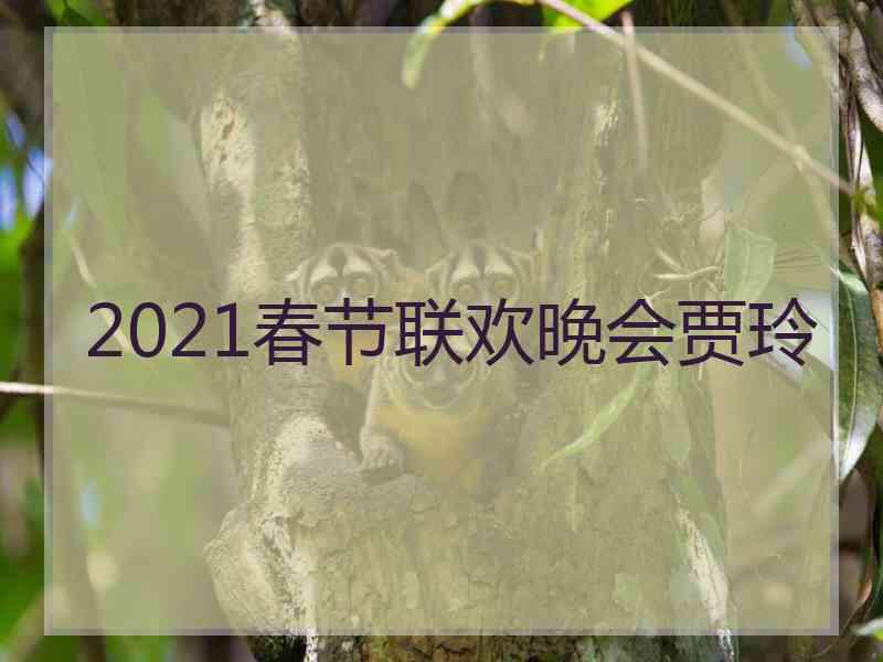 2021春节联欢晚会贾玲