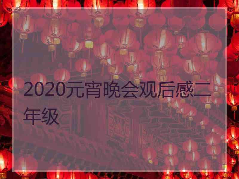 2020元宵晚会观后感二年级