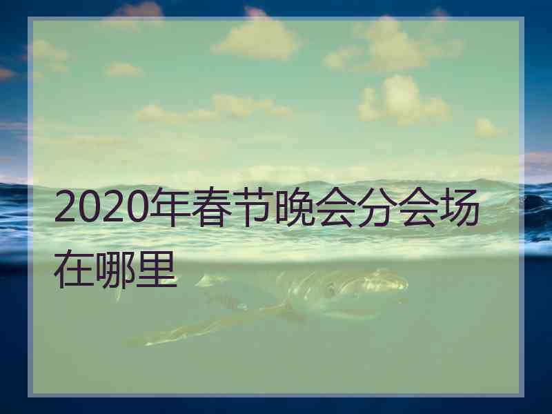 2020年春节晚会分会场在哪里