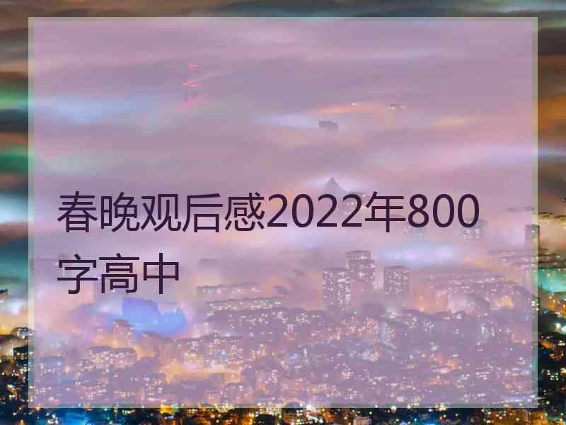 春晚观后感2022年800字高中