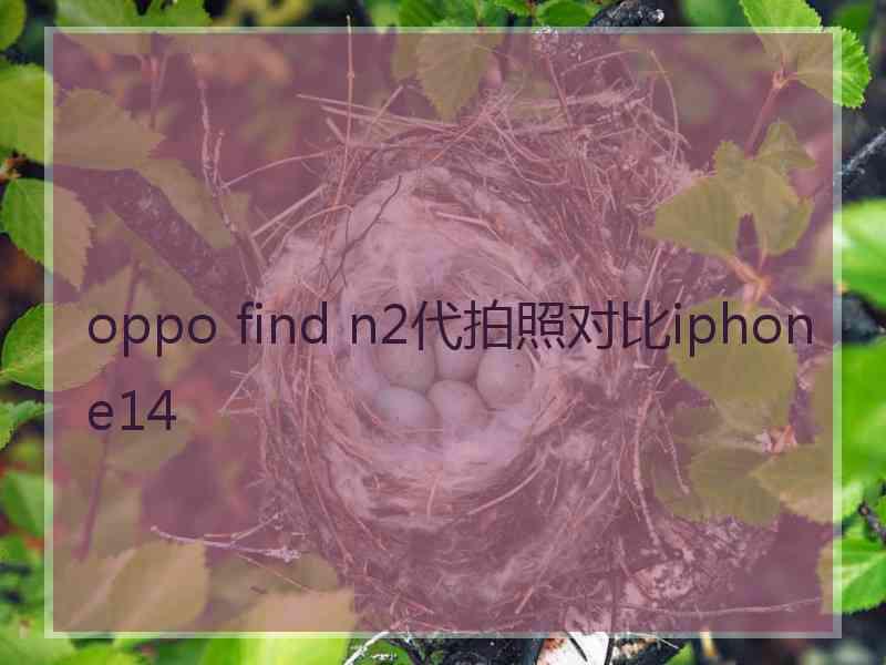 oppo find n2代拍照对比iphone14