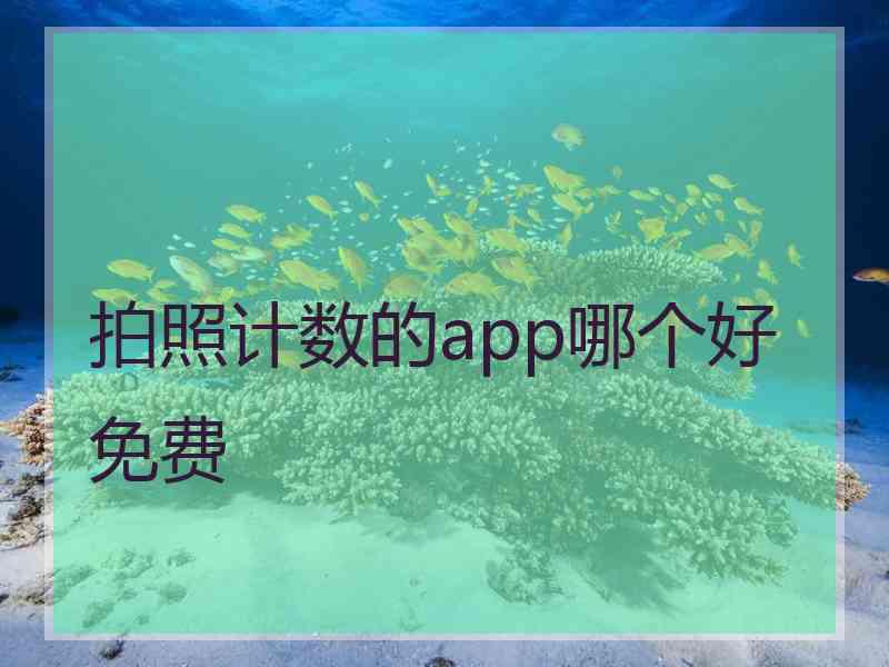 拍照计数的app哪个好免费