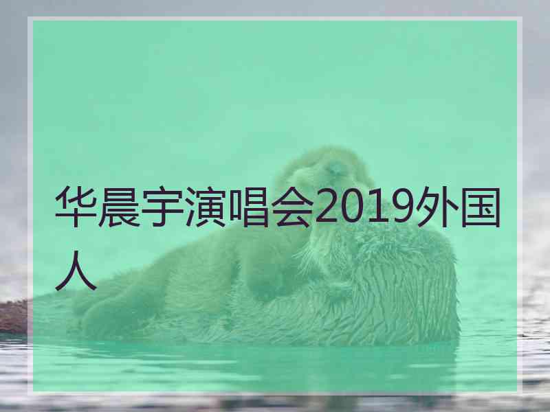 华晨宇演唱会2019外国人