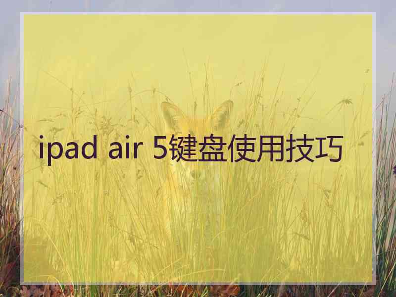 ipad air 5键盘使用技巧