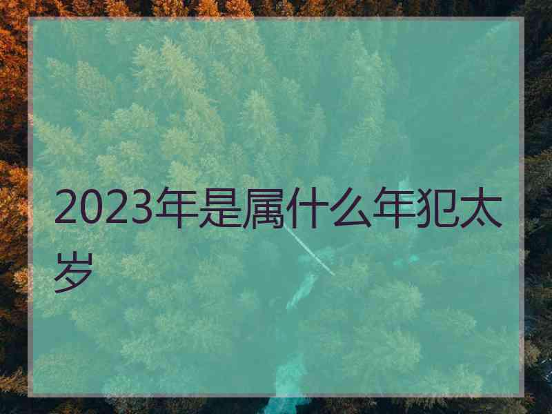 2023年是属什么年犯太岁