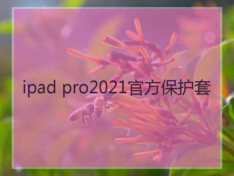 ipad pro2021官方保护套