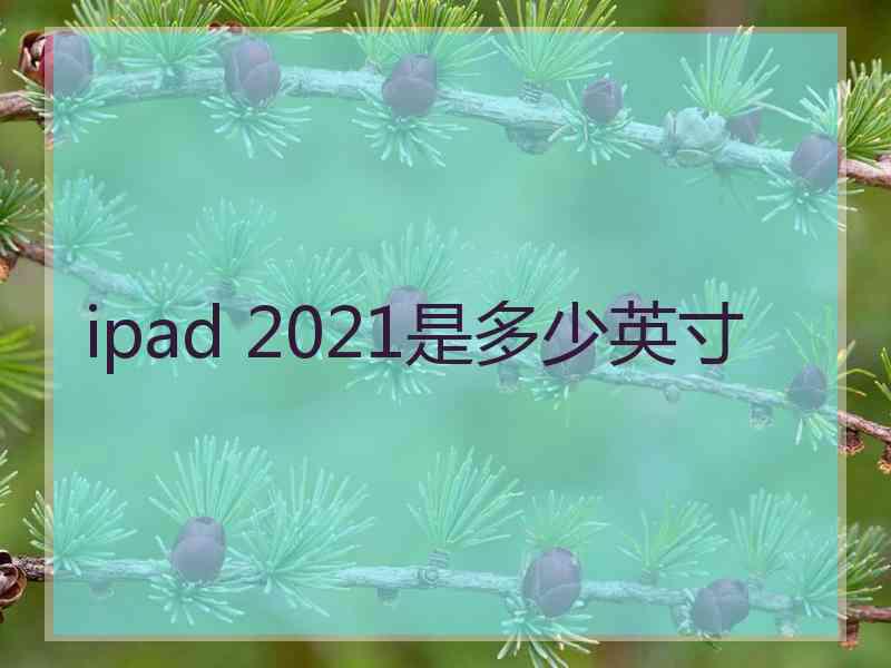 ipad 2021是多少英寸