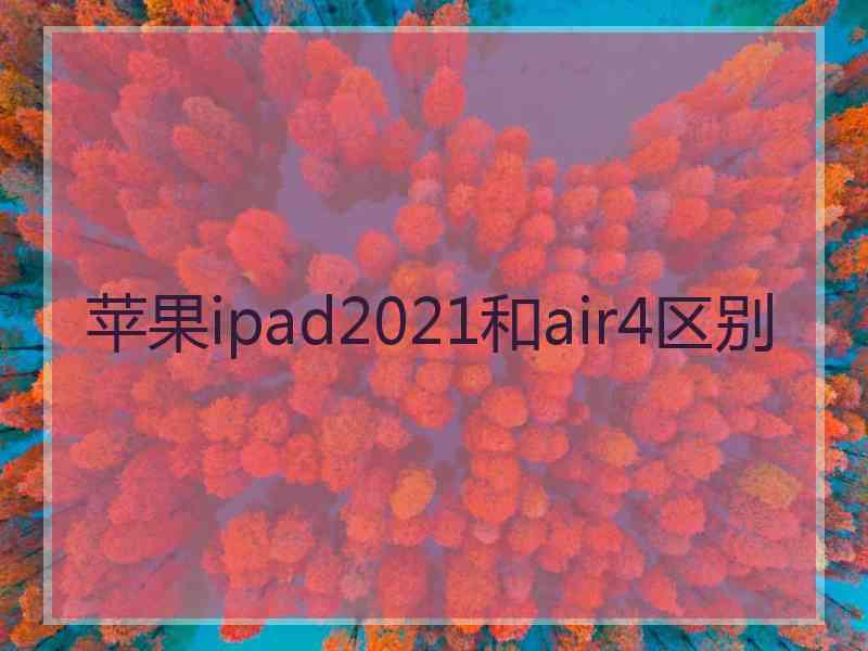 苹果ipad2021和air4区别