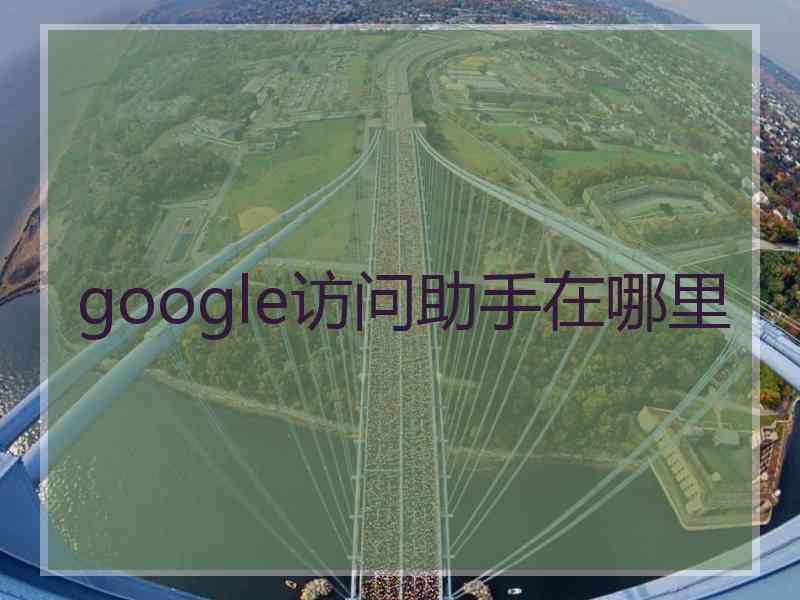 google访问助手在哪里