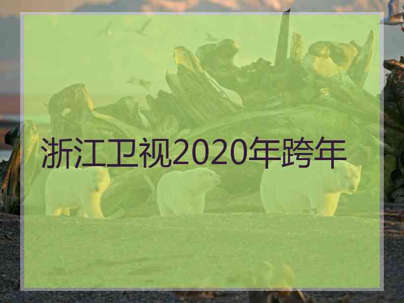 浙江卫视2020年跨年