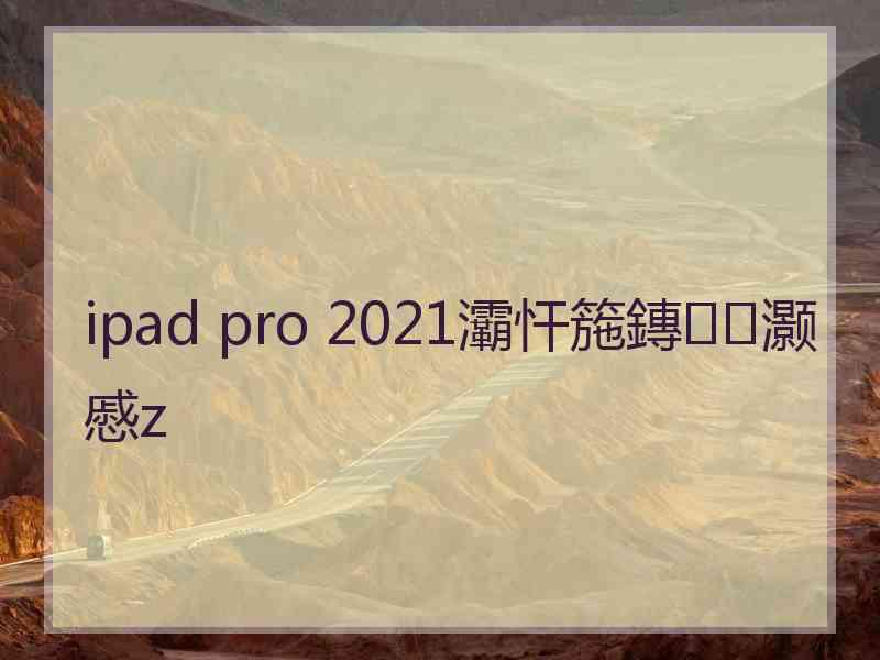 ipad pro 2021灞忓箷鏄灏慼z