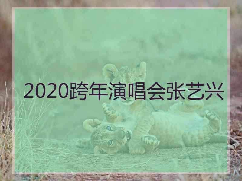 2020跨年演唱会张艺兴