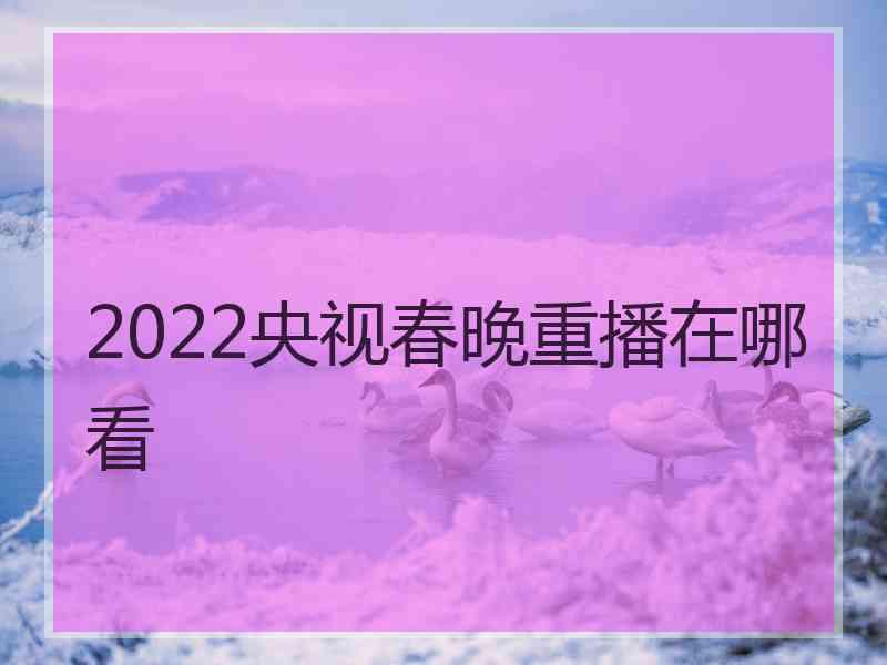 2022央视春晚重播在哪看