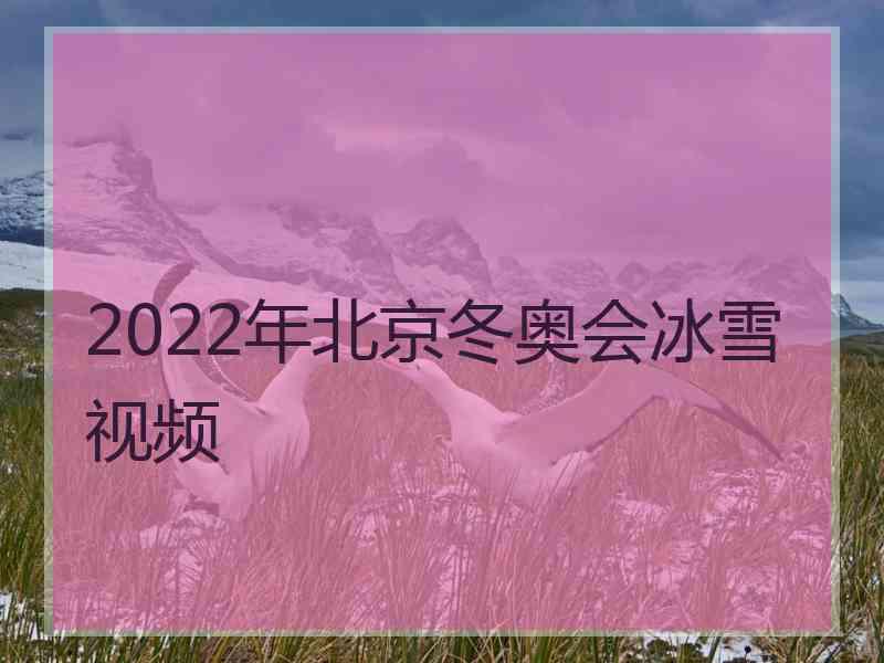 2022年北京冬奥会冰雪视频