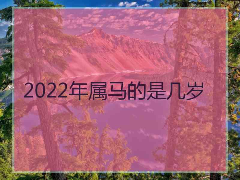 2022年属马的是几岁