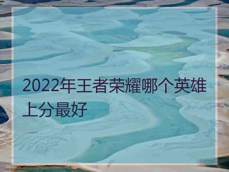 2022年王者荣耀哪个英雄上分最好