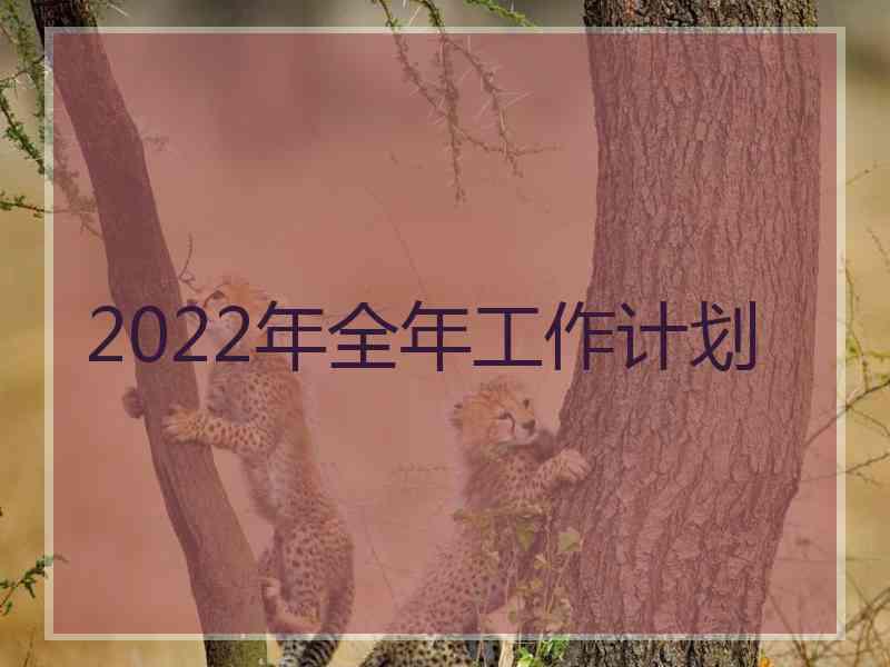 2022年全年工作计划