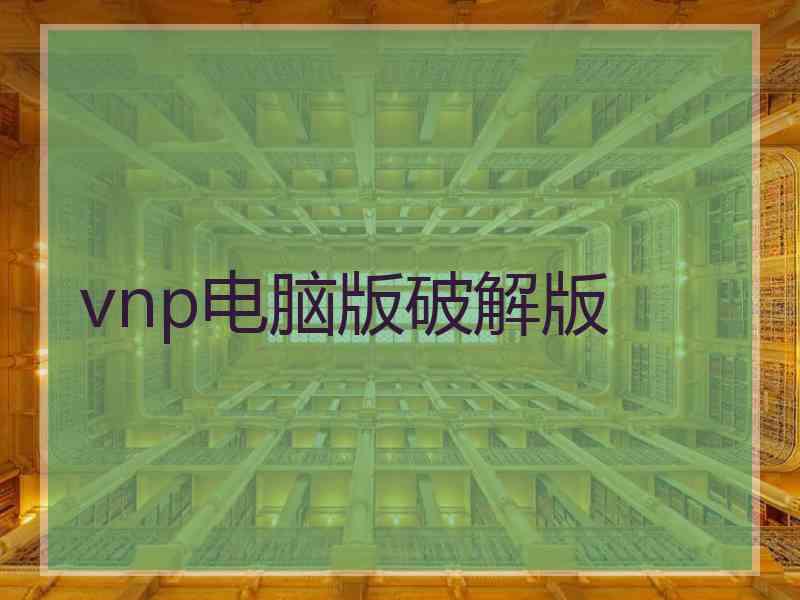 vnp电脑版破解版