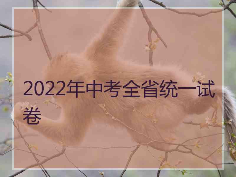 2022年中考全省统一试卷