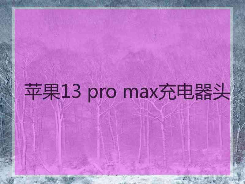 苹果13 pro max充电器头