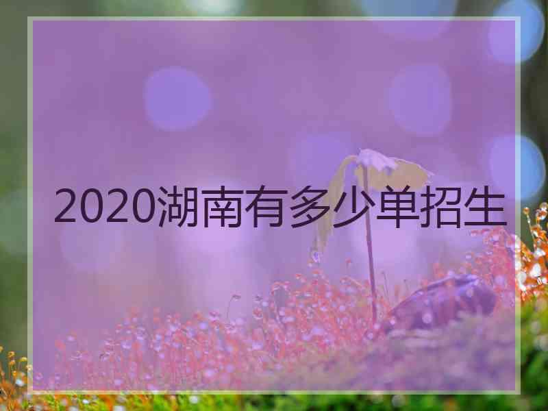 2020湖南有多少单招生