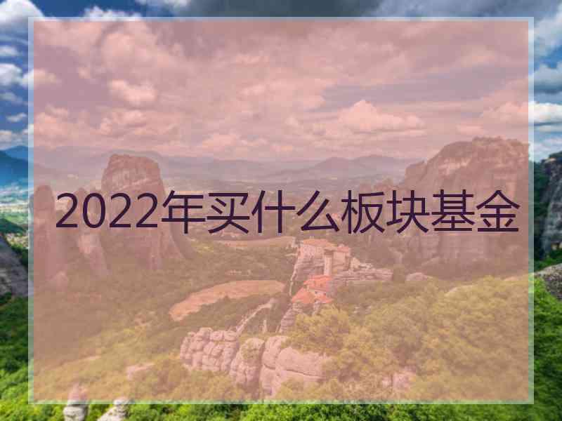 2022年买什么板块基金