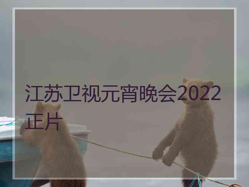 江苏卫视元宵晚会2022正片