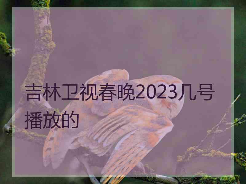 吉林卫视春晚2023几号播放的